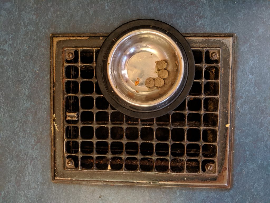 Dog Bowl